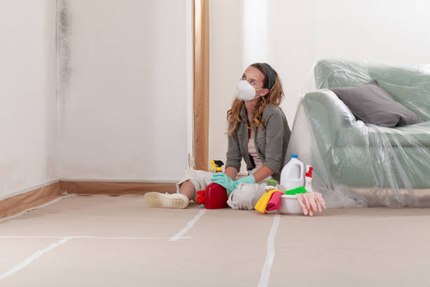 Reliable Mold Removal contractor in Argyle, TX by Mold Remediation HQ